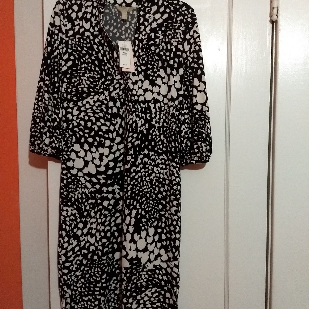 Banana Republic Dress